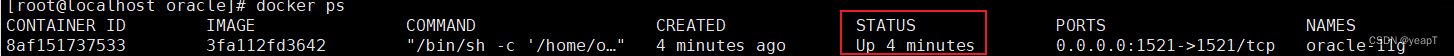 运行Oracle 11g容器